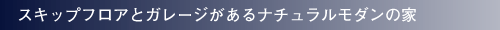 �X�L�b�v�t���A�ƃK���[�W������i�`���������_���̉�